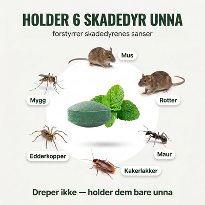 Pestblock – Beskytt hjemmet ditt mot dyr og insekter