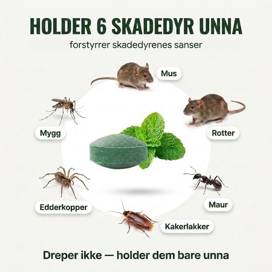 Pestblock – Beskytt hjemmet ditt mot dyr og insekter