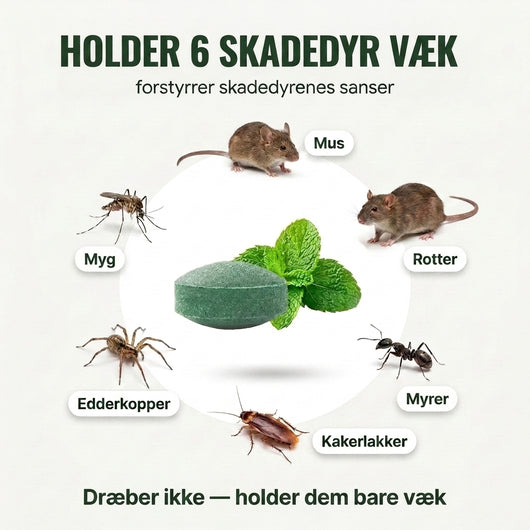 Pestblock – Beskyt dit hjem mod dyr og insekter