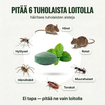 Pestblock – Suojaa kotisi eläimiltä ja hyönteisiltä