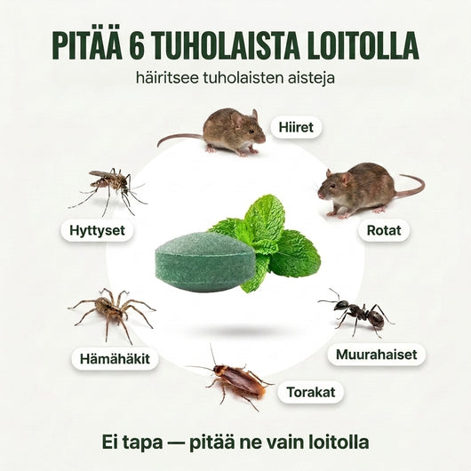 Pestblock – Suojaa kotisi eläimiltä ja hyönteisiltä