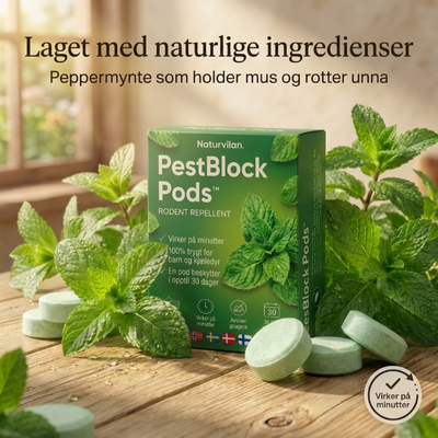 Pestblock – Beskytt hjemmet ditt mot dyr og insekter