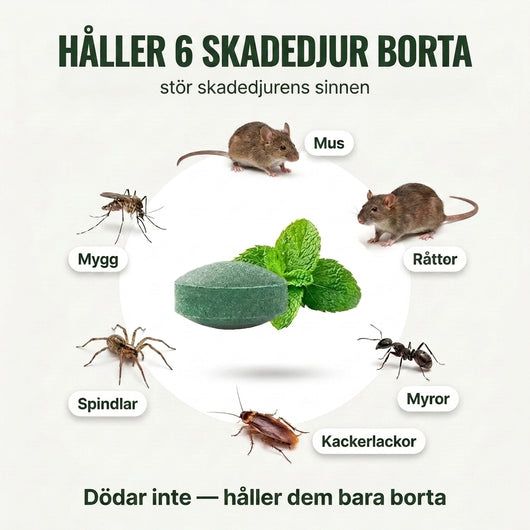 Pestblock – Skydda ditt hem mot djur och insekter